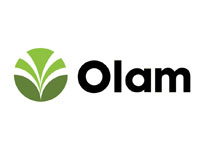 Olam
